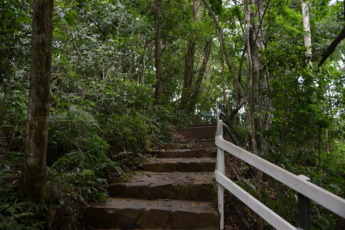 07 Walking On The Macuco Safari To The Boat Dock At Brazil Iguazu Falls